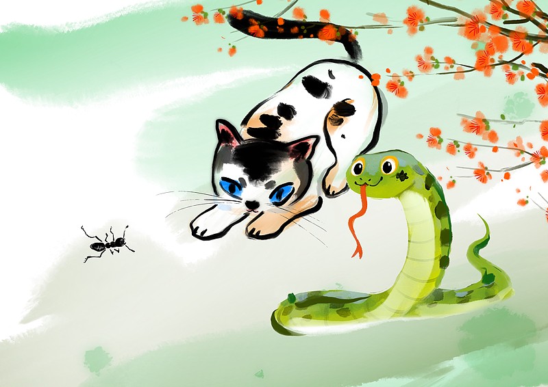 “三五好友聚会,冬天吃火锅”指是打代表什么生肖,打一准确最佳生肖