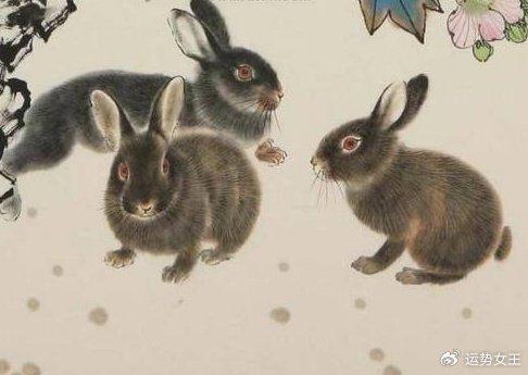 精准解答:“鸱目虎吻”是指猜代表打一正确生肖完美解释成语解析