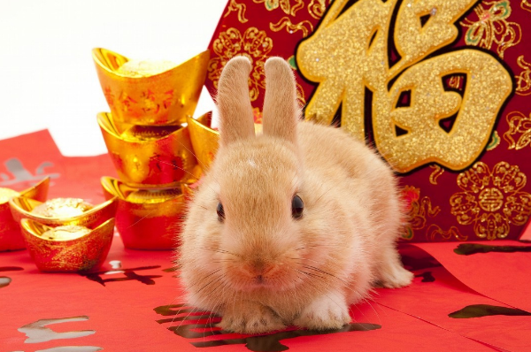 “称心如意七字马，今期生肖头还绿”指是打代表什么生肖，打一准确最佳生肖